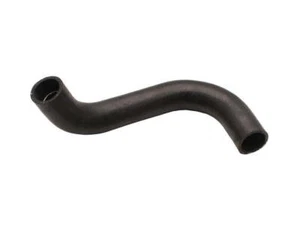 Hose Radiator Lower HK HT HG 6 Cylinder With Out Air Cond. - CH788 - Bild 1 von 1