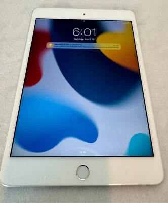 Apple iPad mini 4 - 128 GB, solo Wi-Fi, gris espacial - muy buen estado Foto 1 de 4