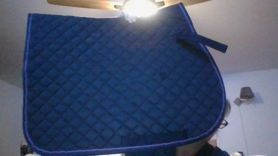 Новый с Ярлыками! Roma английский седло подушечка выстеганная черный w/фиолетовый отделки вышитый BVSPC - WOW - Изображение 1 из 4