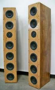 6 Woofer 8Ω Torre de 2 Vías Hágalo Usted Mismo Bajos Profundos y Excelente Rendimiento - Planes de Componentes - Imagen 1 de 12