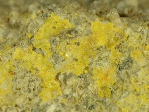 UZONIT & ALACRÁNIT aus Rumänien *SELTENE ARSENSULFIDMINERALIEN * 2,4 cm - Bild 1 von 4