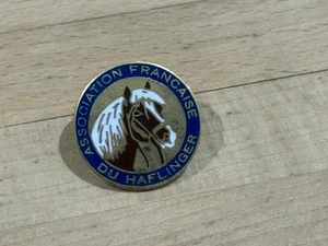 a PINS PIN CHEVAL HORSE HAFLINGER VERSION DORE ENAMEL EGF - Picture 1 of 1