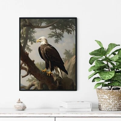 Pôster vintage impressão arte pássaro águia careca pintura arte parede - Imagem 1 de 4
