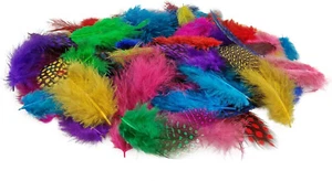 150 Stück Bunt Deko Federn 6g Perlhuhn Federn Gepunktete Federn Schmuckfedern - Bild 1 von 7