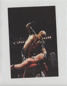 1999 Comic Images WWF WrestleMania Live! Goldust #34 - Picture 1 of 3