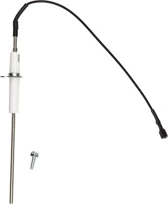 Сменный стержень датчика пламени Zodiac R0458601 для бассейна Zodiac Jandy Legacy LRZE - Изображение 1 из 2