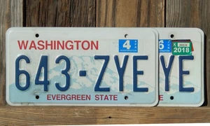 Targa WASHINGTON 2018 scaduta (coppia) 643 ZYE (#WA00068) - Foto 1 di 1