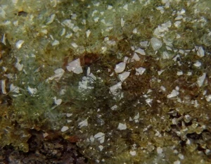 Cristales verdes ADAMITA -- GRECIA Attica LAVRION Kamariza - Mina Hilarión /pl259 - Imagen 1 de 13