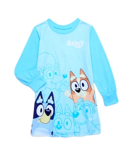 Disney Bluey Nightgown Pajamas Girls Sz 4 5 6 7 8 10 12 Bingo Dog Sleep shirt - Picture 1 of 2