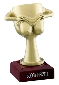 Booby Prize Trophy Rugby, Darts, Golf, Fun Novelty Award Free Engraving RM77 - Picture 1 of 1