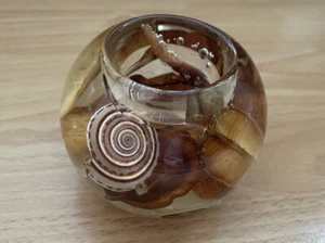 Dreamlight Traumlicht Teelichthalter Kerzenständer Maritim Muscheln Braun - Bild 1 von 4