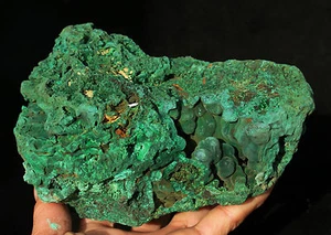 2070g Brilliant Special Vivid Green MALACHIT Kristall Mineral Probe 1 - Bild 1 von 9