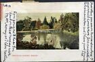 Picture Postcard Australia Tazmania, 1908. Allier Botanical Garden Hobart