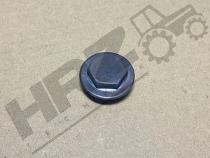 Stopfen Planet Vorderachse ZF APL IHC 744 844 856 955 956 1255 1455 933718R1 - Bild 1 von 3