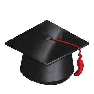 Servilletas Con Forma Graduación De Papel Blancas 33x25 Cm 3 Capas 16 Pzs - Givi - Imagen 1 de 4