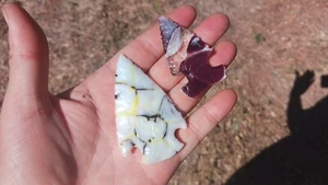 Two Flint Knapped Arrowheads. Mixed Glass points - Picture 1 of 8