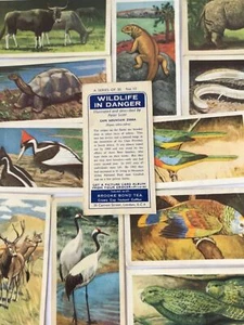 WILDLIFE IN DANGER Brooke Bond Teekarten - einzeln verkauft - wählen Sie aus - Bild 1 von 106