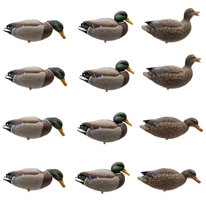High Definition Full Body Mallard Decoys - 12 Pack - Picture 1 of 4