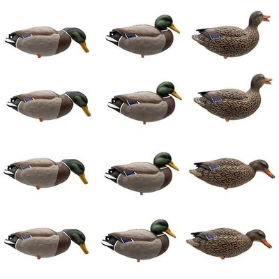 High Definition Full Body Mallard Decoys - 12 Pack - Image 1 of 4