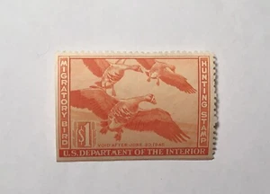RW11 1944 $1 Migratory Bird Hunting Stamp Duck Unsigned - Picture 1 of 2