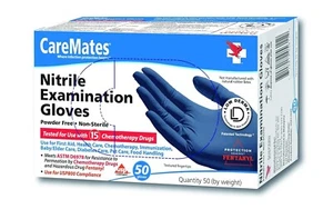 CAREMATES VINYL EXAM GLOVES LATEX FREE POWDER FREE LARGE 100 CT , GLOVES - Picture 1 of 1