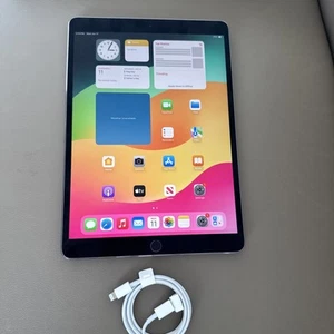 Apple iPad Pro (10.5-inch) A1701 256 GB, Wi-Fi, 10.5 in - Space Gray - Picture 1 of 6