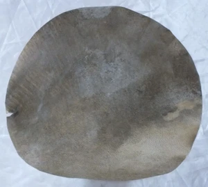 36 Cm Goat Animal Skin For Percussion Intruments Bendir Etc   - Picture 1 of 2