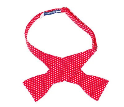 Corbata Beau Pajarita Seda Auto Corbata Rojo Blanco Lunares EE. UU. USADA EN EXCELENTE ESTADO Foto 1 de 4