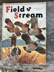 JANUARY 1931 FIELD & STREAM MAGAZINE QUAIL LYNN BOGUE HUNT - Picture 1 of 5