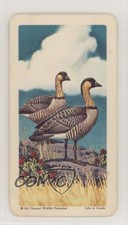 1964 Brooke Bond Red Rose Tropical Birds Tea Canadian Black Backs Nene #4 1md