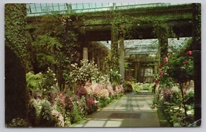 Postal de Azalea House at Longwood Gardens cerca de Wilmington Delaware c1965 - Imagen 1 de 2