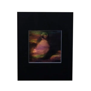 3D Entlein Hologramm Bild MATTIERT, Sammlerstück GEPRÄGT Typ Film - Bild 1 von 7