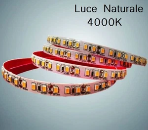 Strip led 2835 24V 4000K 12W/mt ( confezione da 10 metri ) 2835-24V-10M-120N - Foto 1 di 1