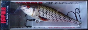 ESCHE DA PESCA RAPALA SHAD RAP CORRIDORE SUPERFICIALE SSR 9 cm ROTOLO (Real Roach) colore - Foto 1 di 1