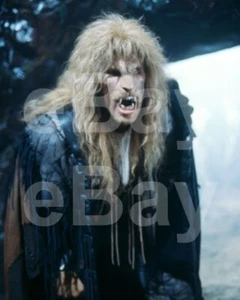 Die Schöne und das Biest (TV) Ron Perlman "Vincent" 10x8 Foto - Bild 1 von 1