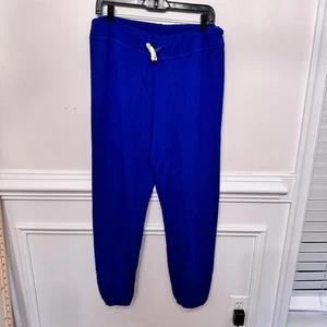 Sundry French Terry Cobalt Blue Pull On Joggers Sweatpants Size 3 Women Large - Picture 1 of 13