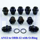 Male ORB-12 W/T O-Ring to AN12 12AN Adapter Fittings Black 10pcs