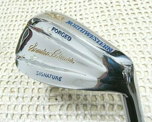 Northwestern SANDRA PALMER Signature 8 Iron 34.75" RH ~ Ladies Flex Steel Shaft - Picture 1 of 9