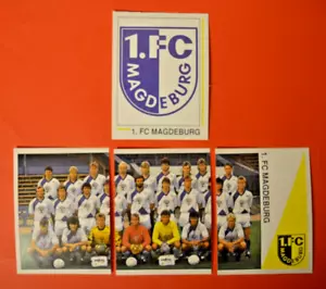 Panini Calcio Bundesliga 1991 Calcio 91 - Squadra + Stemma 1.FC Magdeburgo - Foto 1 di 2