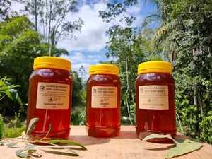 Bulk Box of 10, 1kg Jars of 100% Raw Cold Extracted Honey - Picture 1 of 1