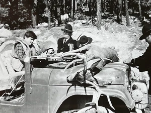 The Pursuit Of D.B. Cooper Treat Williams w Deer Promo Photo Movie Still #12 - Picture 1 of 4