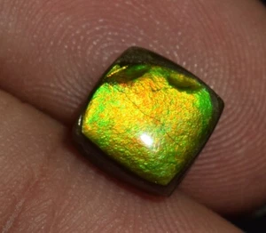 Natural Rare Ammolite Gemstone Cabochon 2.35 Ct Loose Ammolite Gemstone - Bild 1 von 5