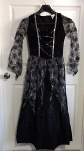 Long Black & Silver Spider Web Velvet Haloween Costume Dress Medium 8-10