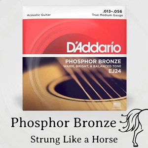 D'Addario 13-56 EJ24 Phosphor Bronze True Medium Guage Acoustic Guitar Strings - Picture 1 of 5