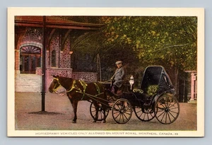 Vintage Horse-Drawn Carriage on Mount Royal Montreal Canada Postcard - Picture 1 of 2