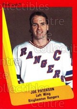 1990-91 ProCards AHL IHL #8 Joe Paterson