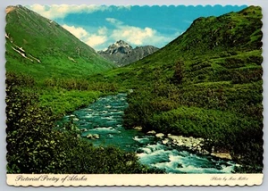 Vintage Alaska Postkarte malerische Flussberge unbesendet Sammlerstück Ansicht - Bild 1 von 2