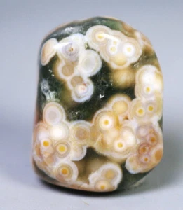 Amazing Natural Ocean Jasper Crystal Agate Round Pendant Jasper Reiki Stone - Picture 1 of 7