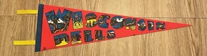 VINTAGE 1970ER JAHRE SEHR COOLER FILZWIMPEL 'WISCONSIN DELLS' - SELTEN! - Bild 1 von 1