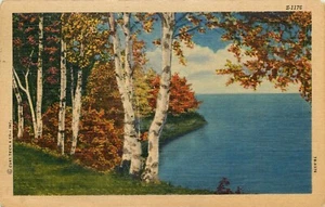 AK Leinen Birken Seeufer 1959 - Bild 1 von 2